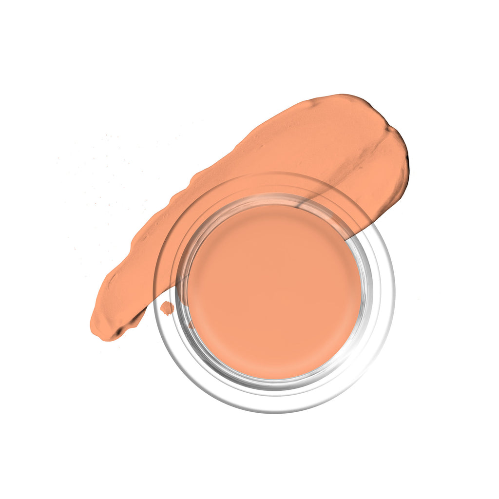 2 In 1 Cream Waterproof Foundation With Concealer - 303