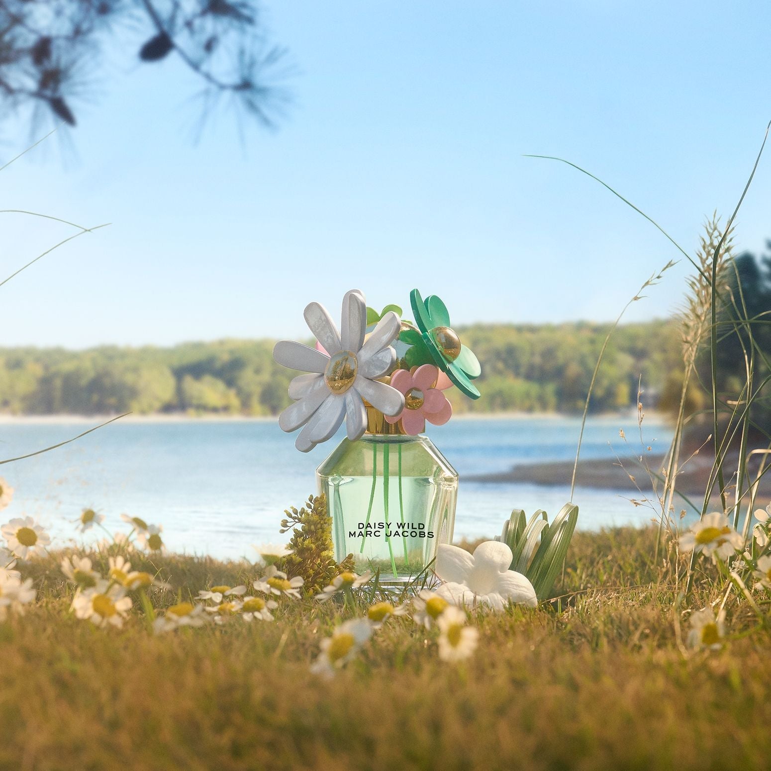 Daisy Wild Eau de Parfum For Her
