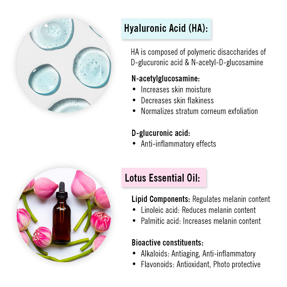 Hyaluronic Lotus Hydrating Facewash Decyl Glucoside Skin Barrier Repair