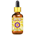Pure Turmeric Essential Oil - Curcuma Longa Steam Distilled