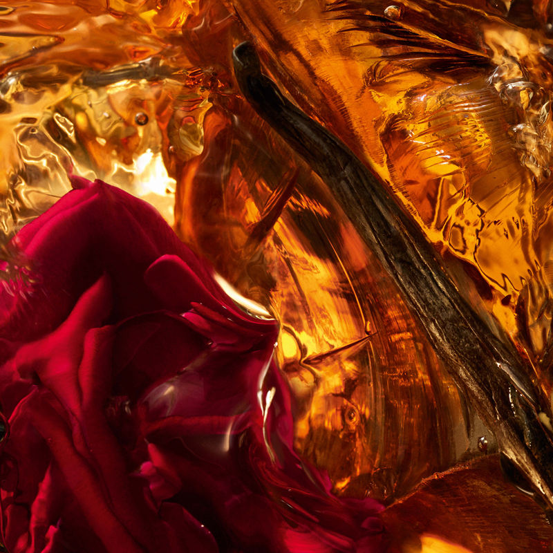 Absolus Allegoria Ambre Samar Eau De Parfum