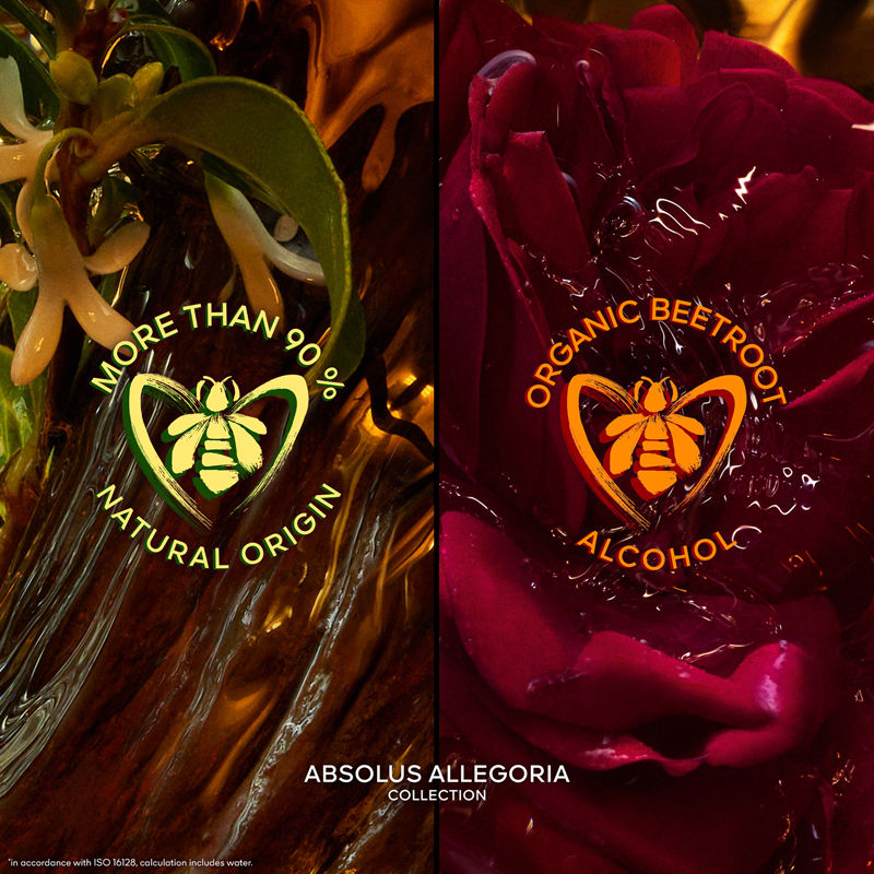 Absolus Allegoria Ambre Samar Eau De Parfum