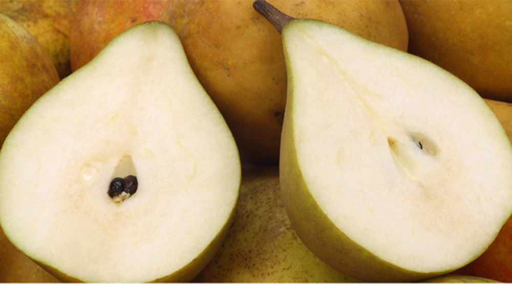 English Pear & Freesia Scent Surround Diffuser
