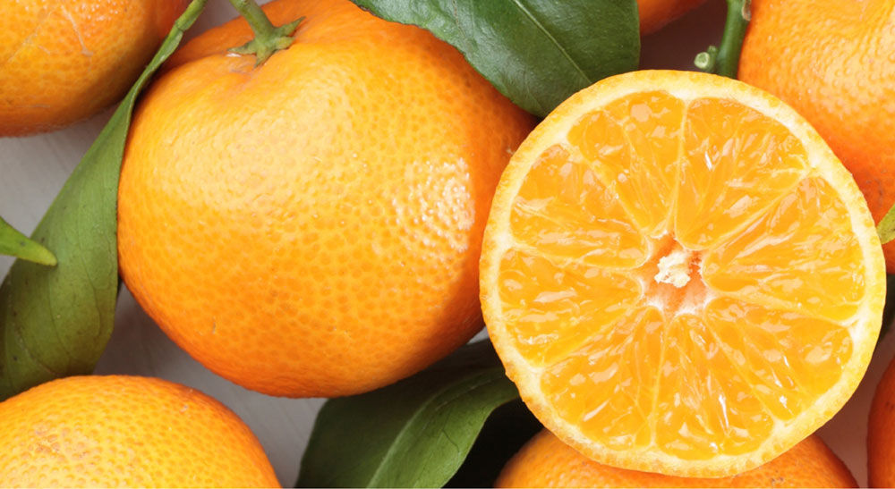 Lime Basil & Mandarin Diffuser
