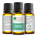 Eucalyptus Premium Essential Oil
