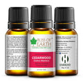 Cedarwood Premium Essential Oil