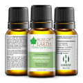 Peppermint Premium Essential Oil